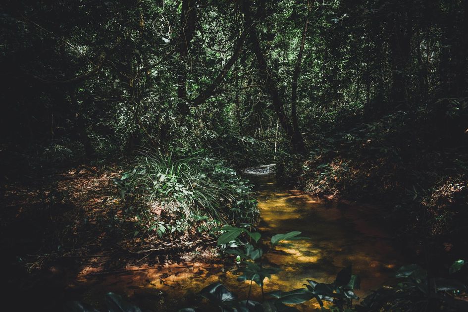 Johnny Ceballos busca construir centro de salud en la selva amazónica